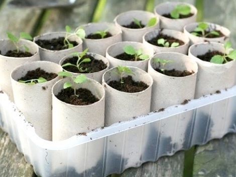 manualidades con rollos de papel originales